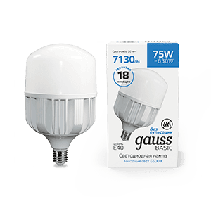 Gauss Лампа Basic T140 AC180-240V 75W 7130lm 6500K E40 LED 11734382