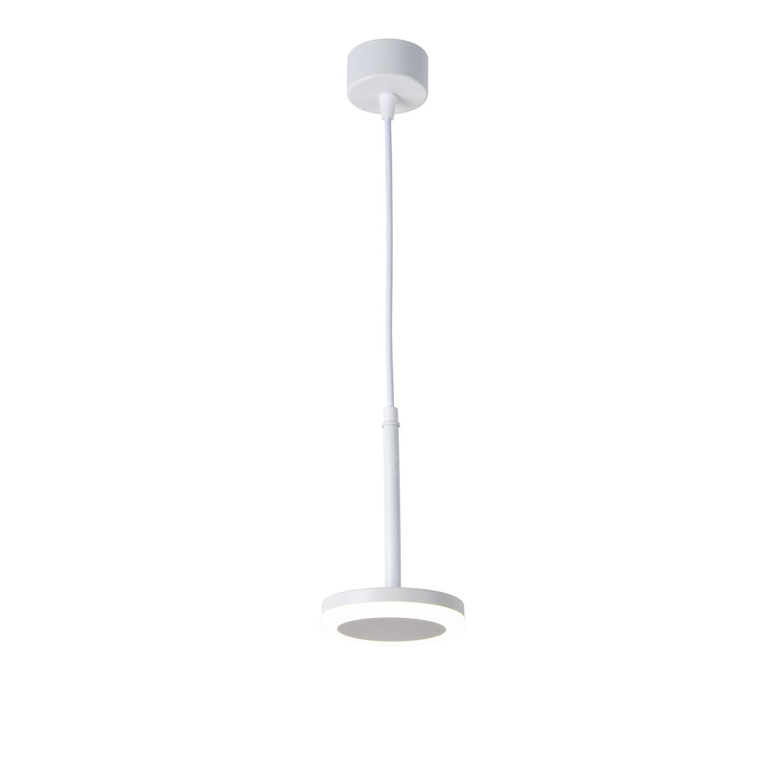 Favourite Подвес Sarkal D110*H184/1200 LED*6W, 350LM, 4000K, IP20, included 3078-1P