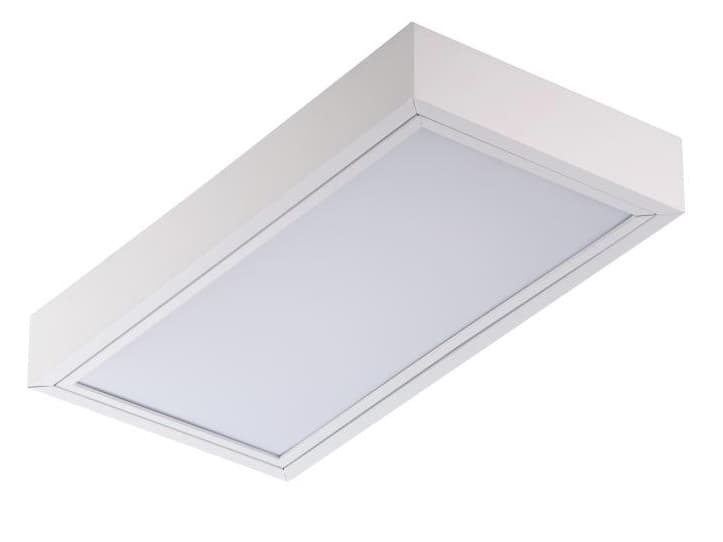 TechnoLux Светильник TL218 OL EL 02393