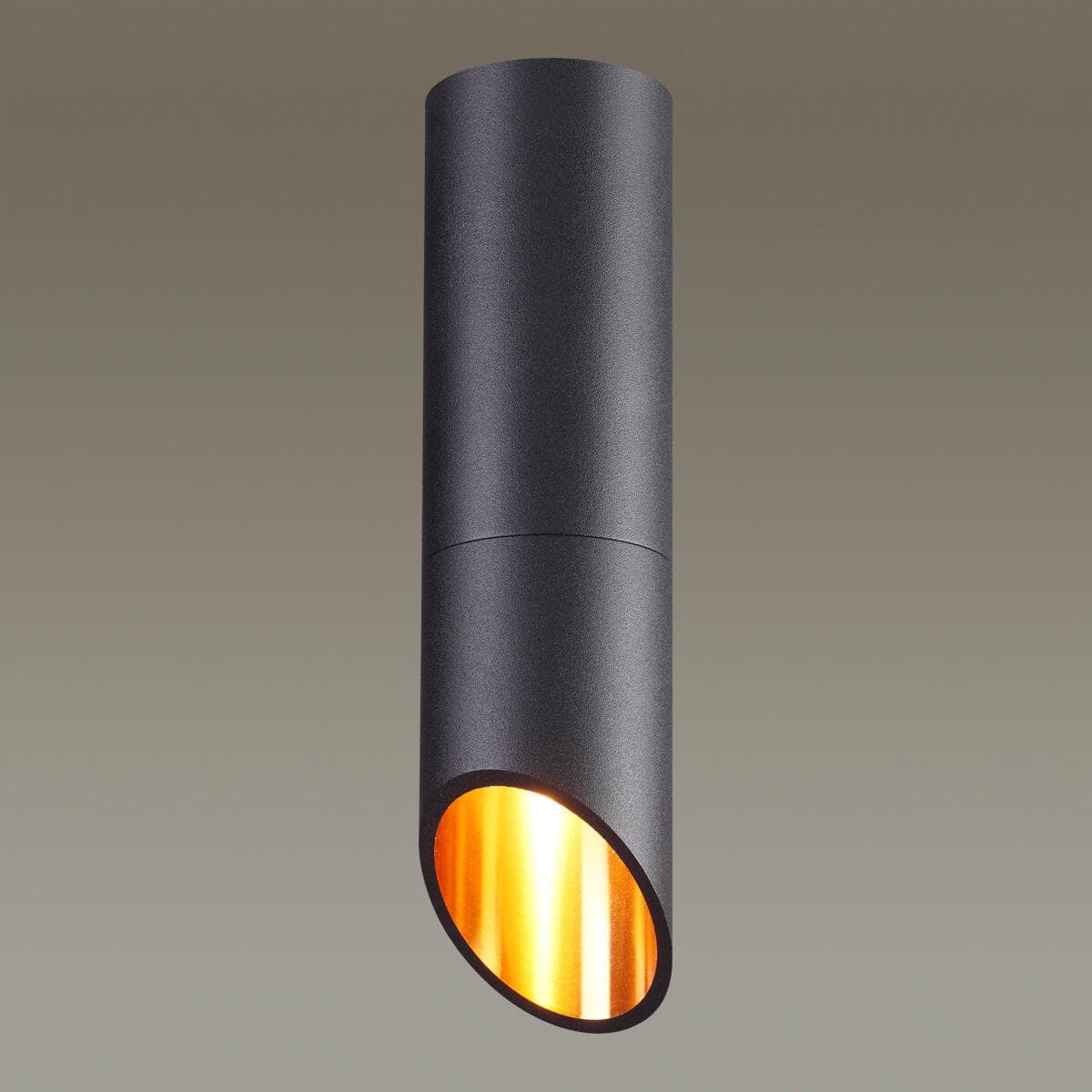 Odeon Light 4209/1C ODL20 197  черный/металл Потолочный светильник GU10 50W IP54 PRODY — миниатюра 2
