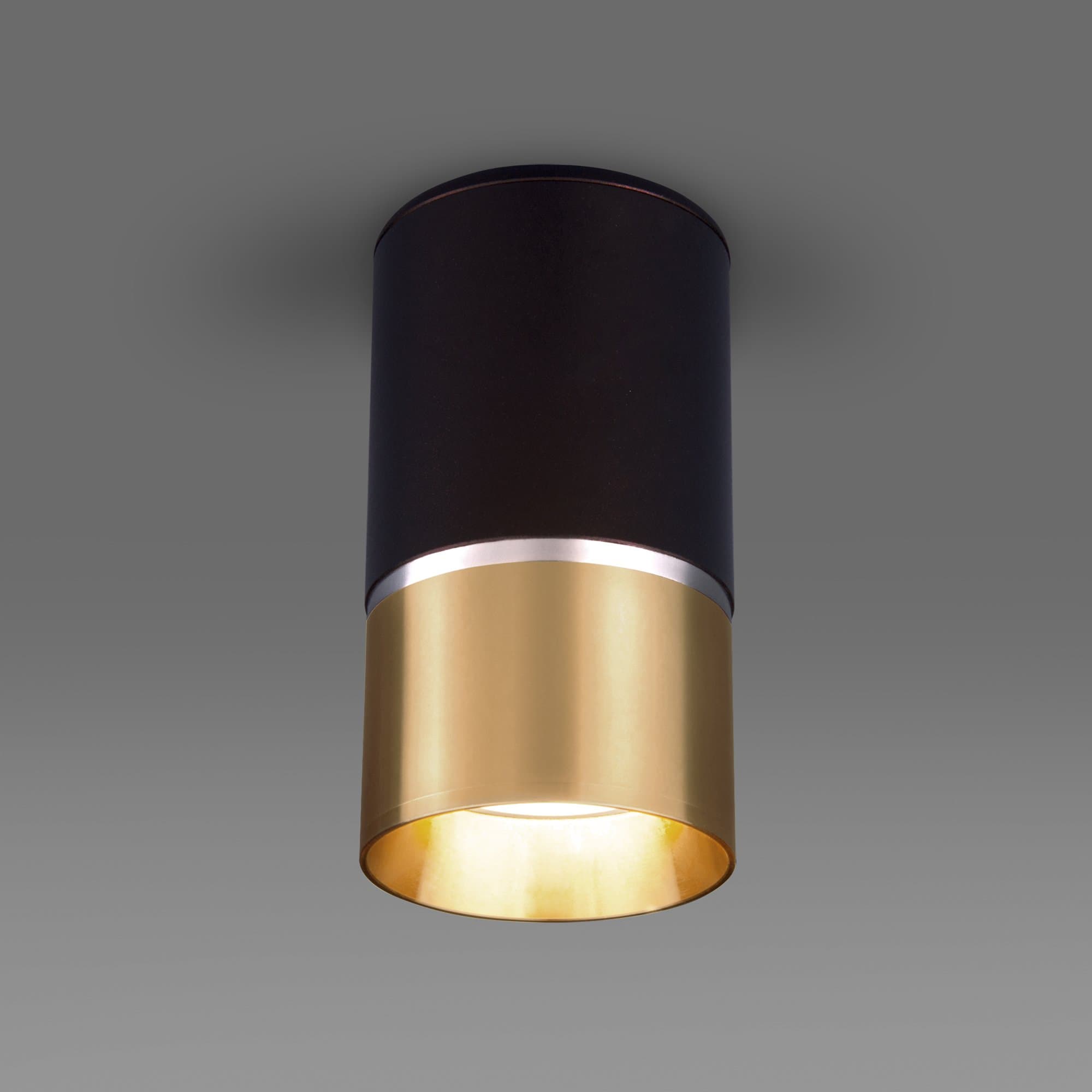 Elektrostandard DLN106 GU10 / Светильник накладной черный/золото a047729