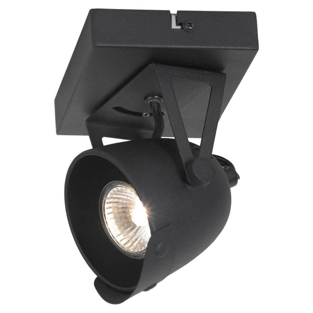 Lussole LOFT Металл Черный /  Металл Светильник настенно-потолочный GU10 50W LSP-9505 — миниатюра 1