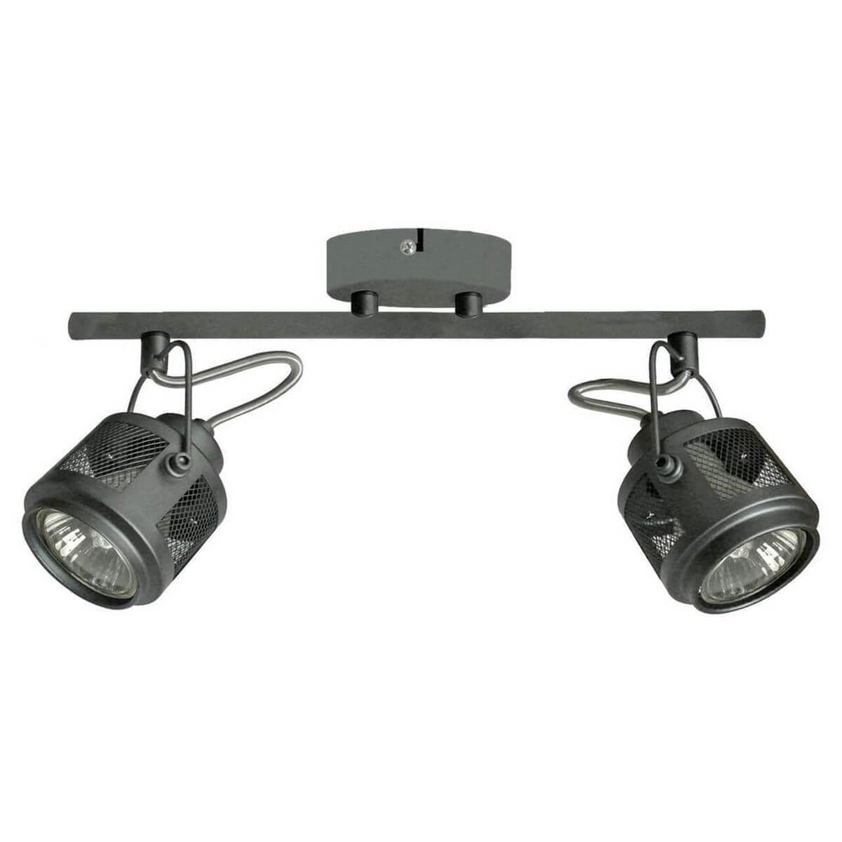 Lussole LOFT Металл Серый /  Металл Светильник настенно-потолочный GU10 5,5W GRLSP-8046 — миниатюра 1