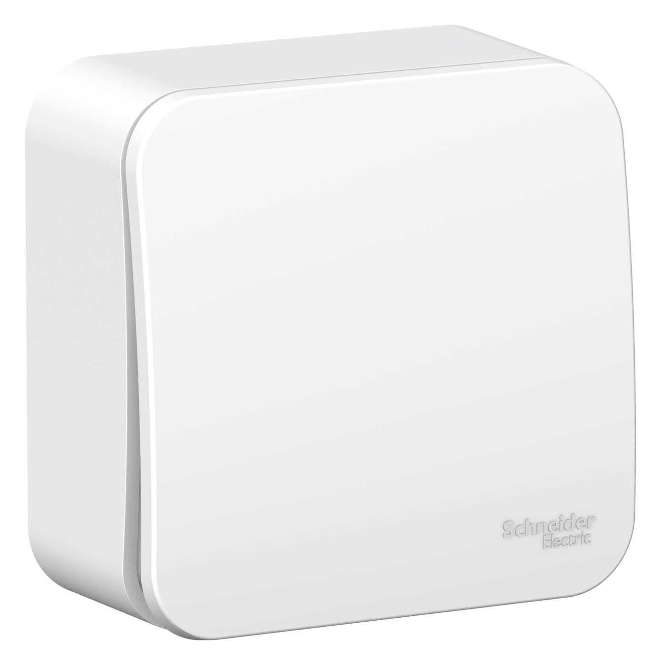 Systeme Electric Blanca наруж Бел Выключатель 1-клавишный 10А, 250B, монтажная пластина — миниатюра 2