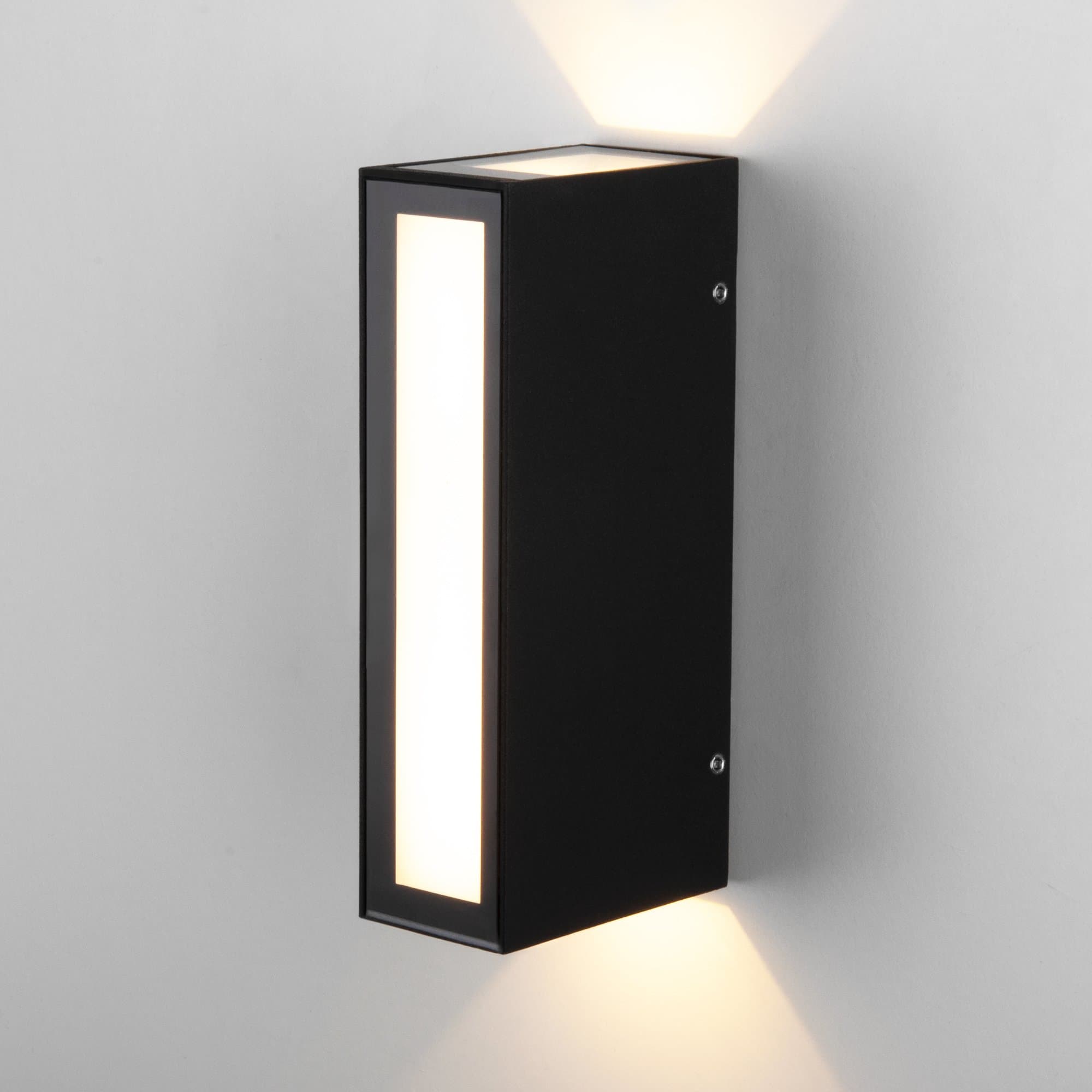 Elektrostandard 1524 TECHNO LED / Светильник садово-парковый со светодиодами Acrux черный a048179
