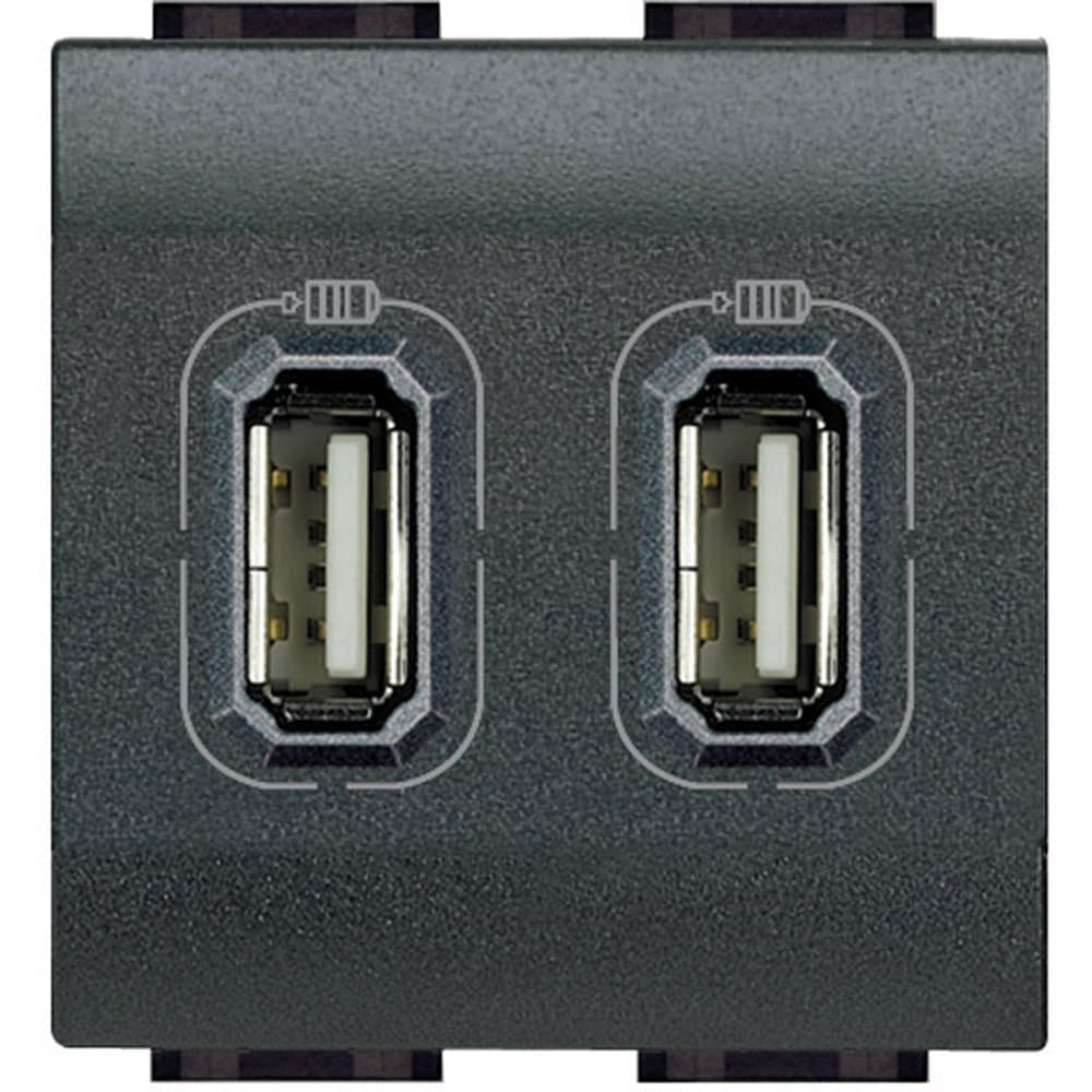 BT LL Разъем д/зарядки 2хUSB антрацит L4285C2 — миниатюра 2