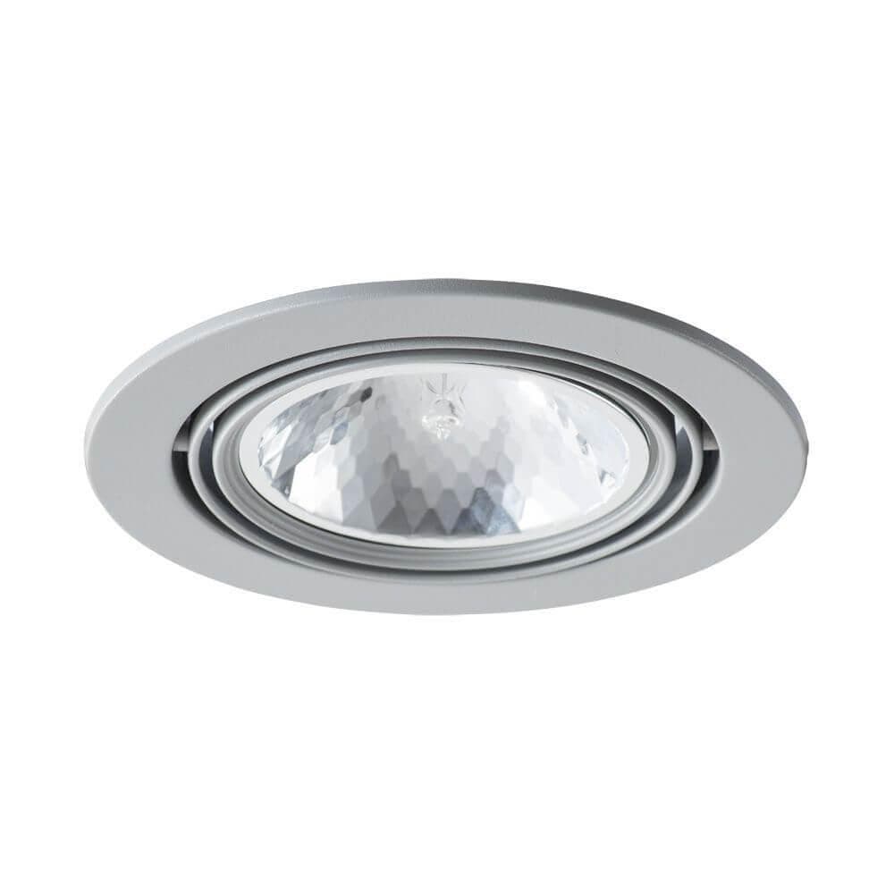 Arte Lamp APUS Потолочные светильники A6664PL-1GY