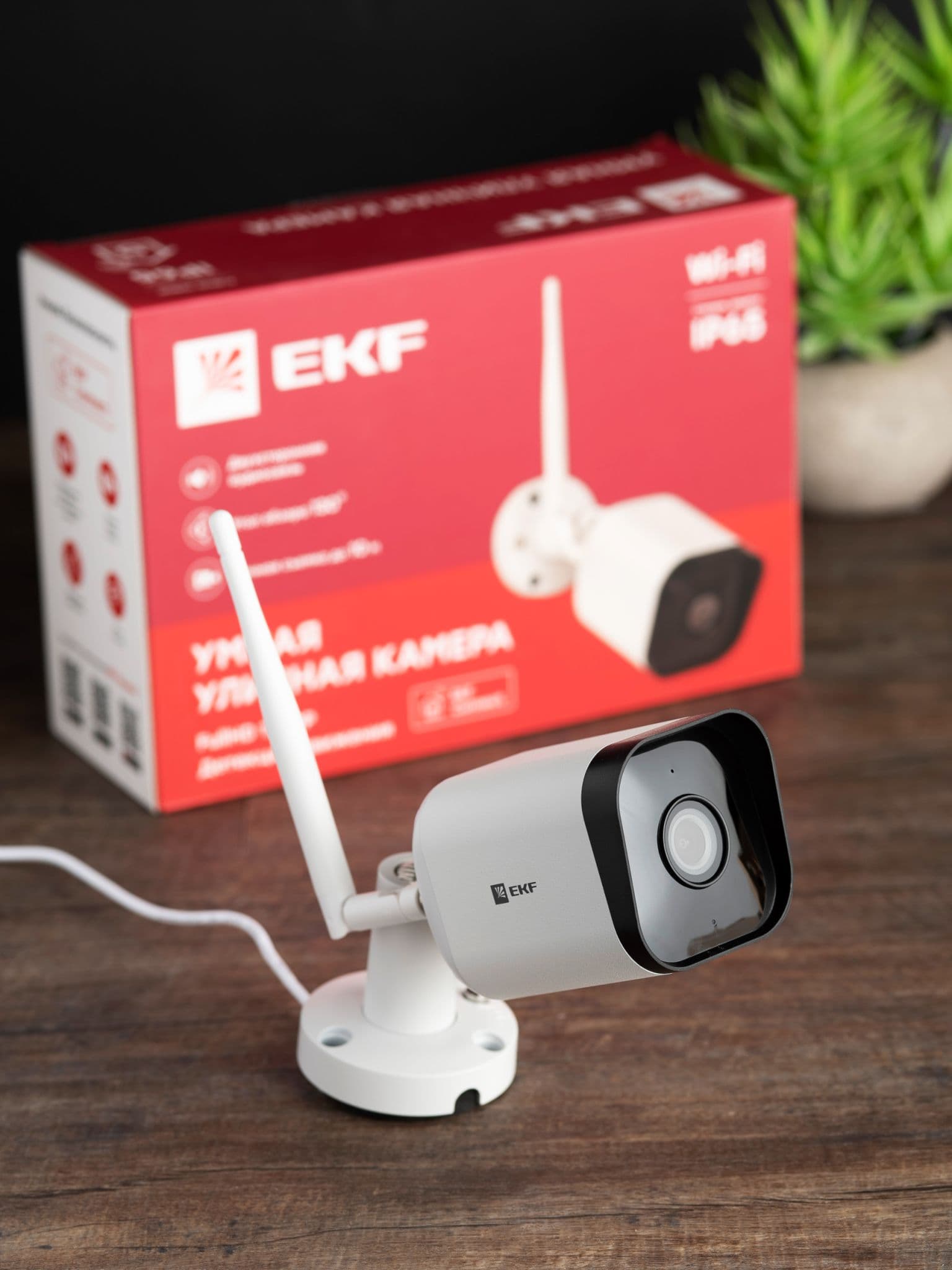 EKF PROxima Умная уличная камера Connect IP65 Wi-Fi — миниатюра 7