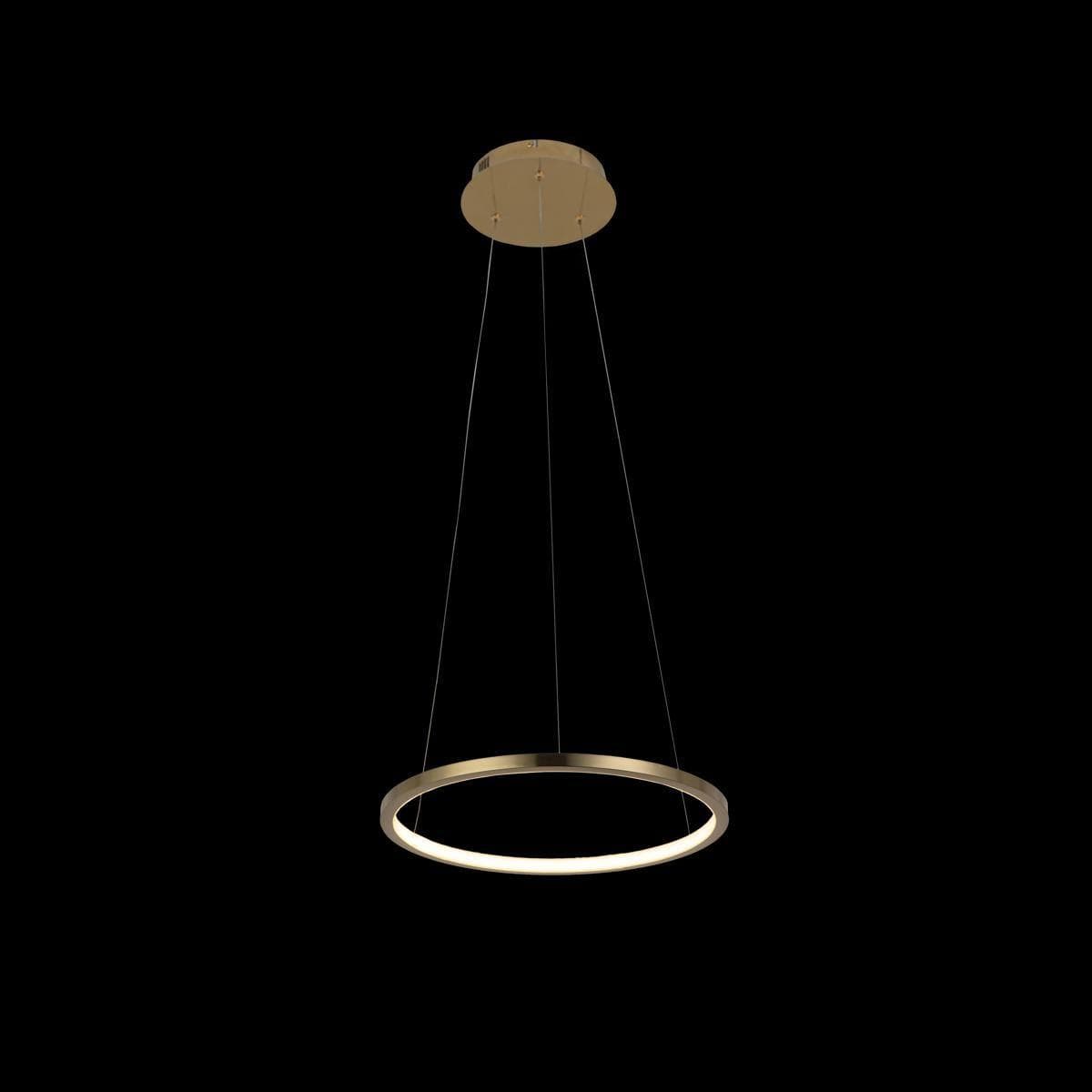 LOFT IT 10014S Светильник подвесной Ring, шт — миниатюра 4