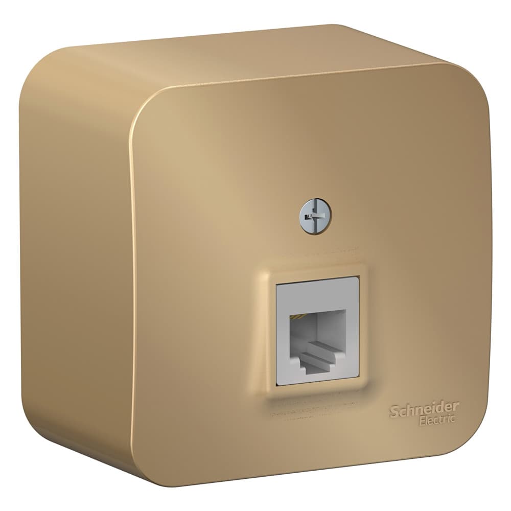 Systeme Electric Blanca наруж Титан Розетка ТЛФ RJ11 изолир. пластина — миниатюра 2