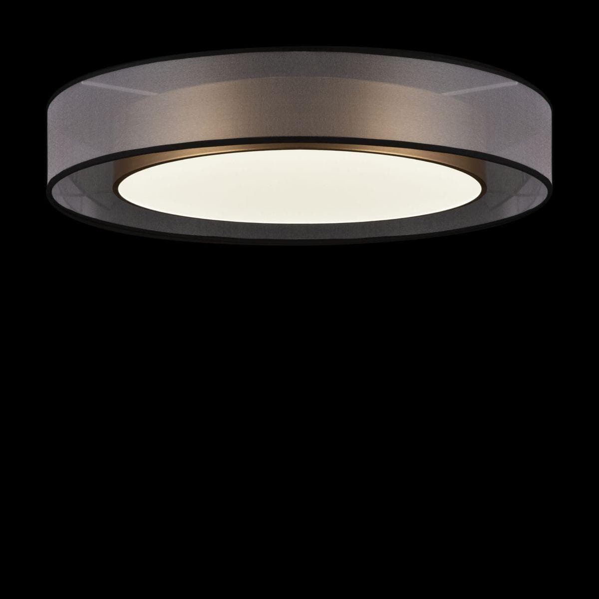 Freya Zoticus F FR6005CL-L48G Потолочный светодиодный светильник — миниатюра 9