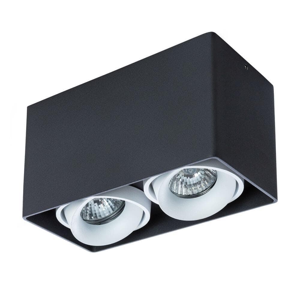 Arte Lamp PICTOR Потолочные светильники A5654PL-2BK — миниатюра 1