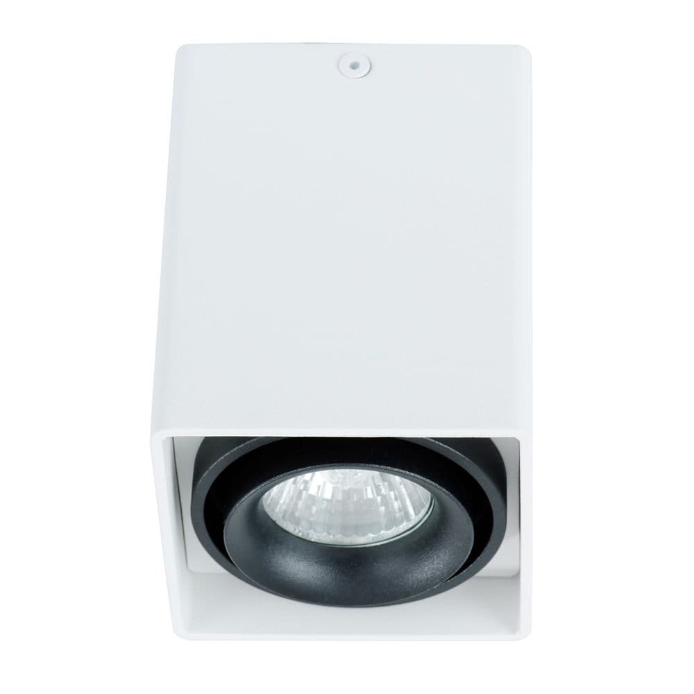 Arte Lamp PICTOR Потолочные светильники A5655PL-1WH