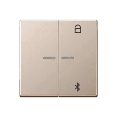 JUNG Таймер универсальный Bluetooth, шампань A1751BTCH