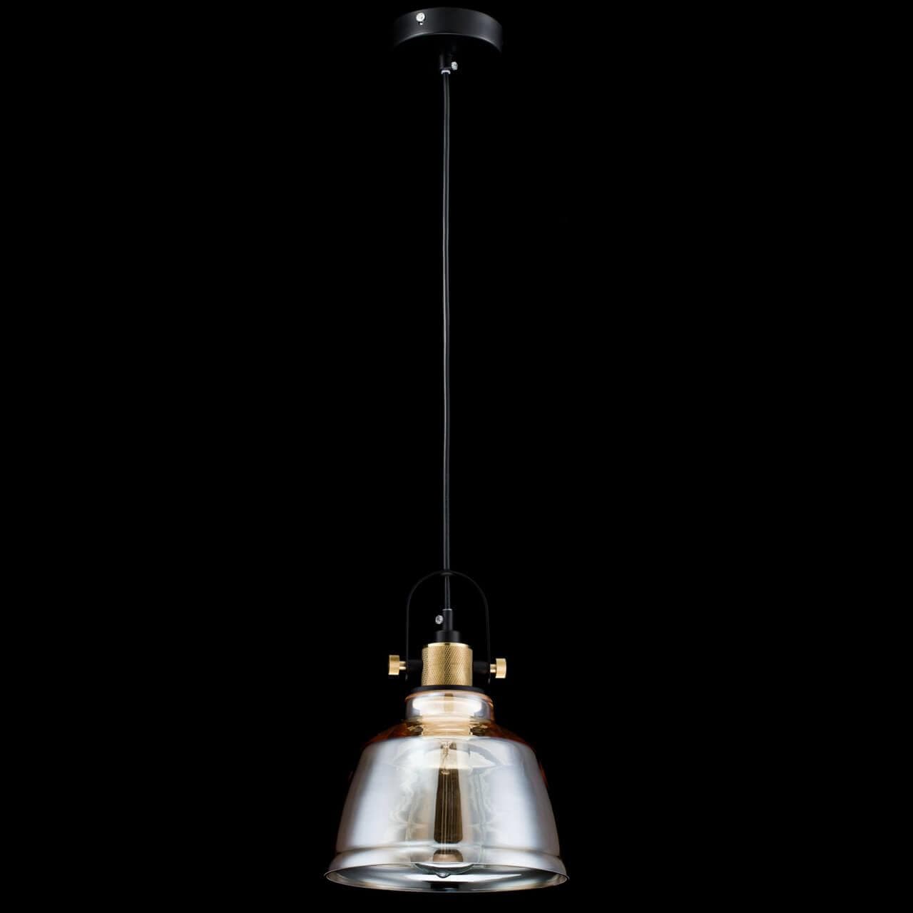 Maytoni Loft Irving Черный Подвес 1xE27 40W T163-11-R — миниатюра 9