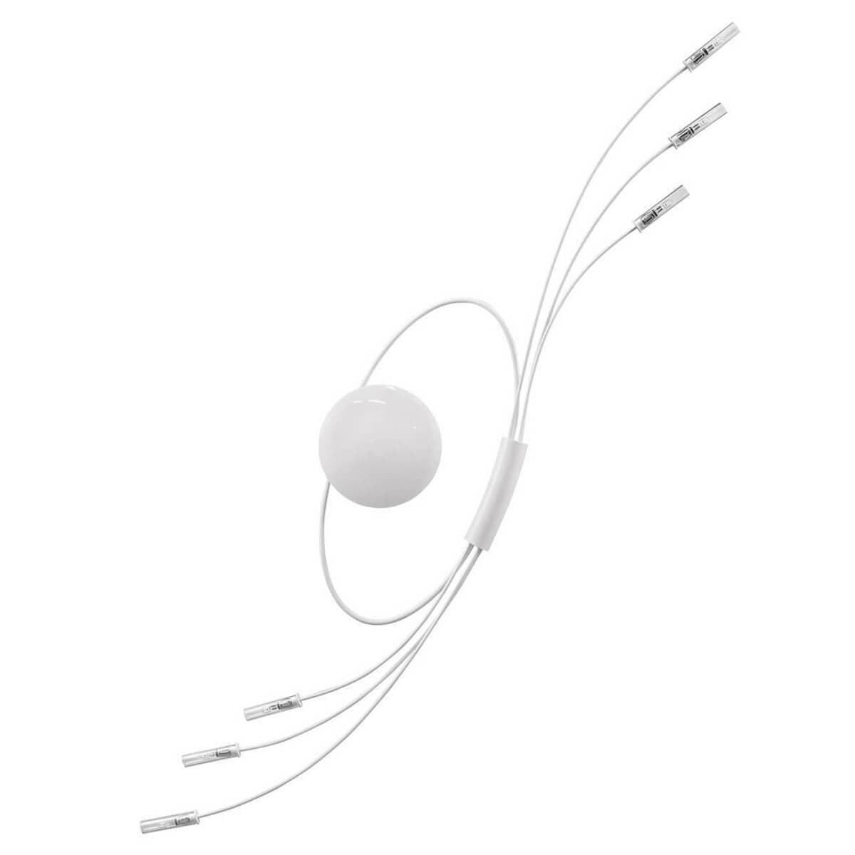 Lightstar Бра Ovale Lightstar 784666