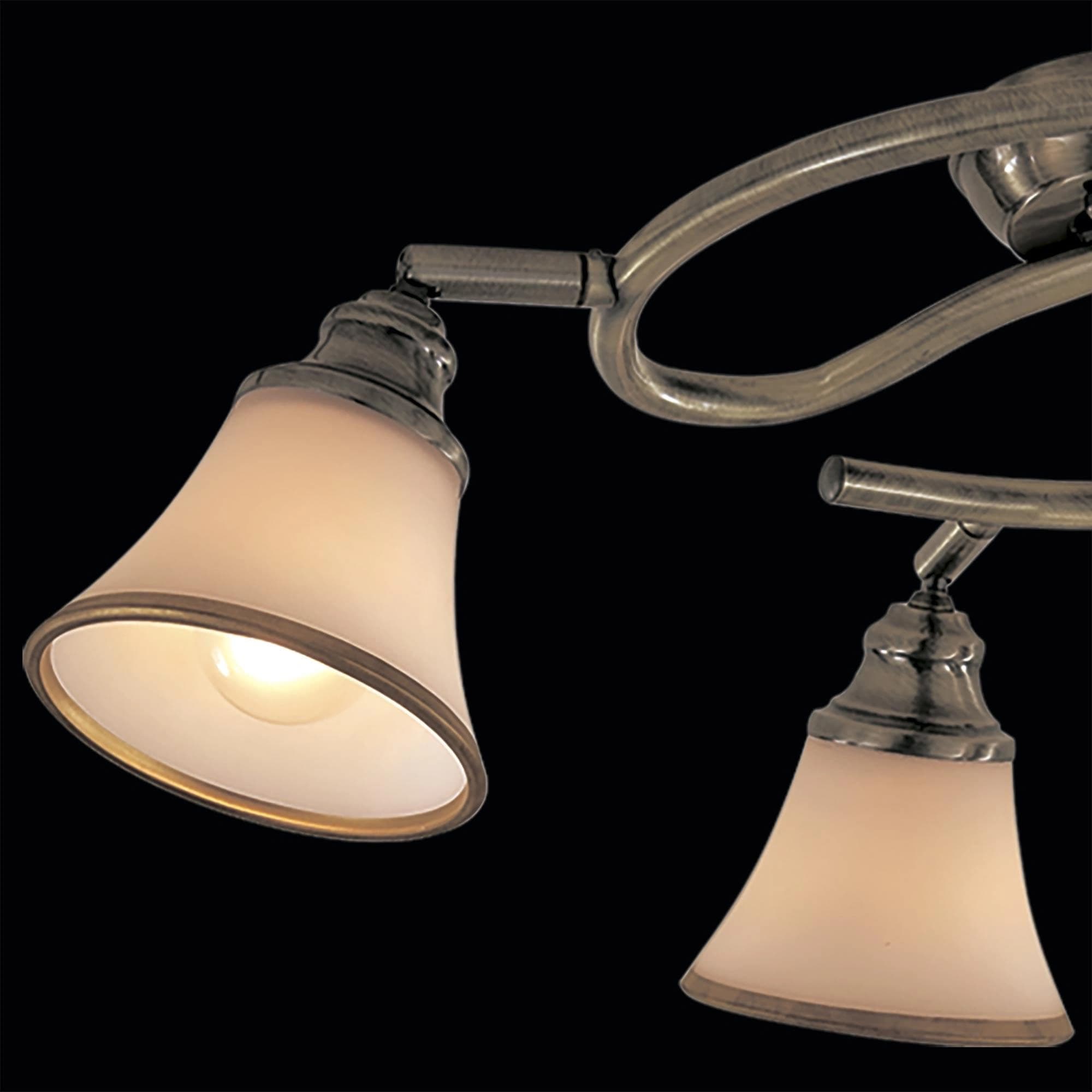 Citilux Спот Прованс CL511143 — миниатюра 3