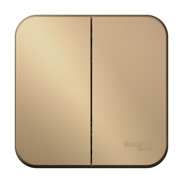 Systeme Electric Blanca наруж Титан Выключатель 2-клавишный , 10А, 250B — миниатюра 2