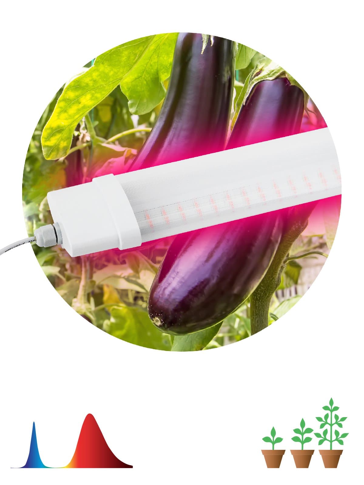ЭРА FITO-36W-RB-N Линейный светильник красно-синего спектра FITO-36W-RB-N