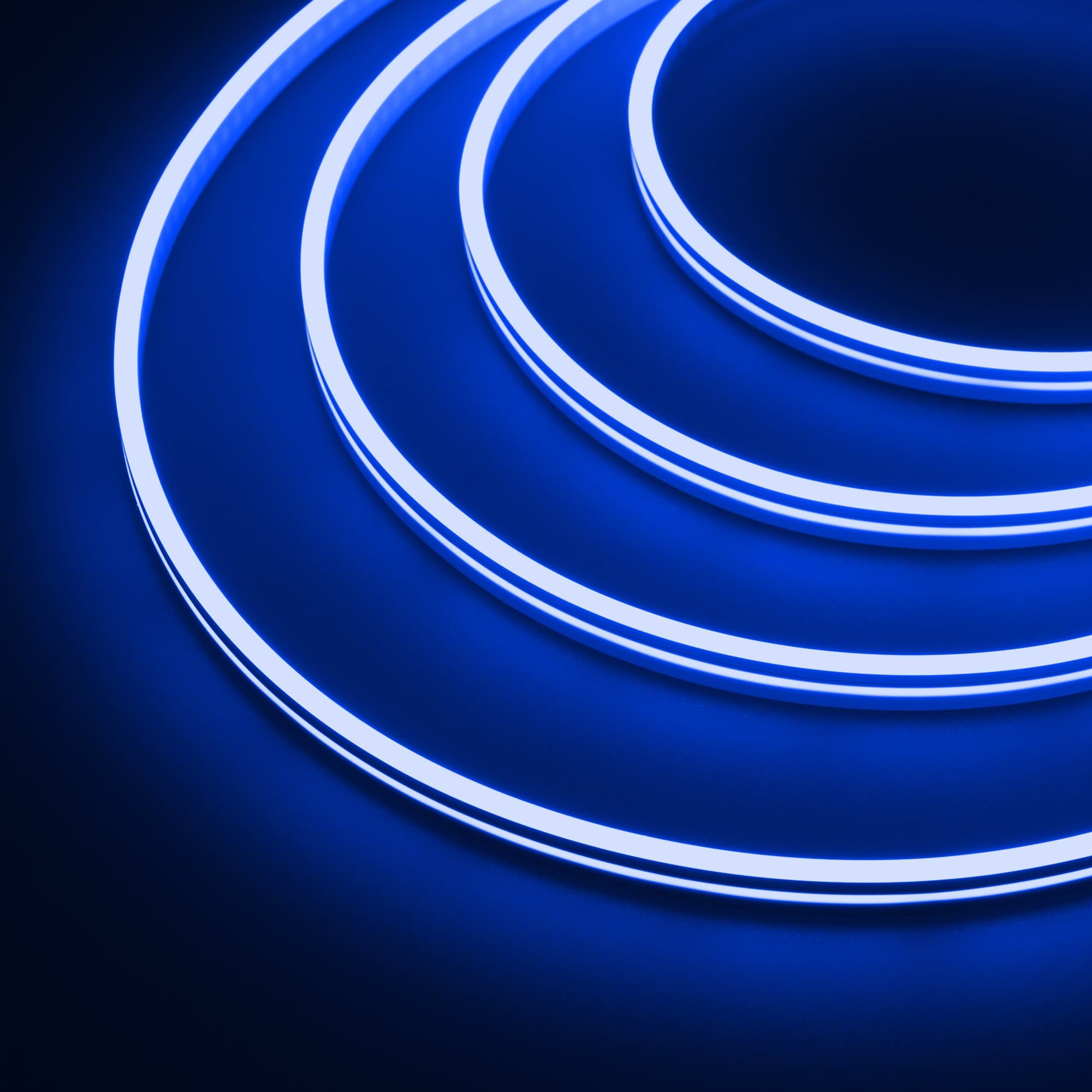 Arlight Гибкий неон ARL-MOONLIGHT-1004-SIDE 24V Blue (6.8 Вт/м, IP65) 031014 — миниатюра 2