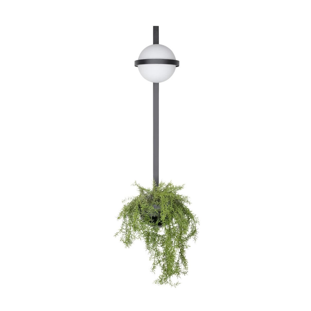LOFT IT 10121W/B Настенный светильник Jardin, шт