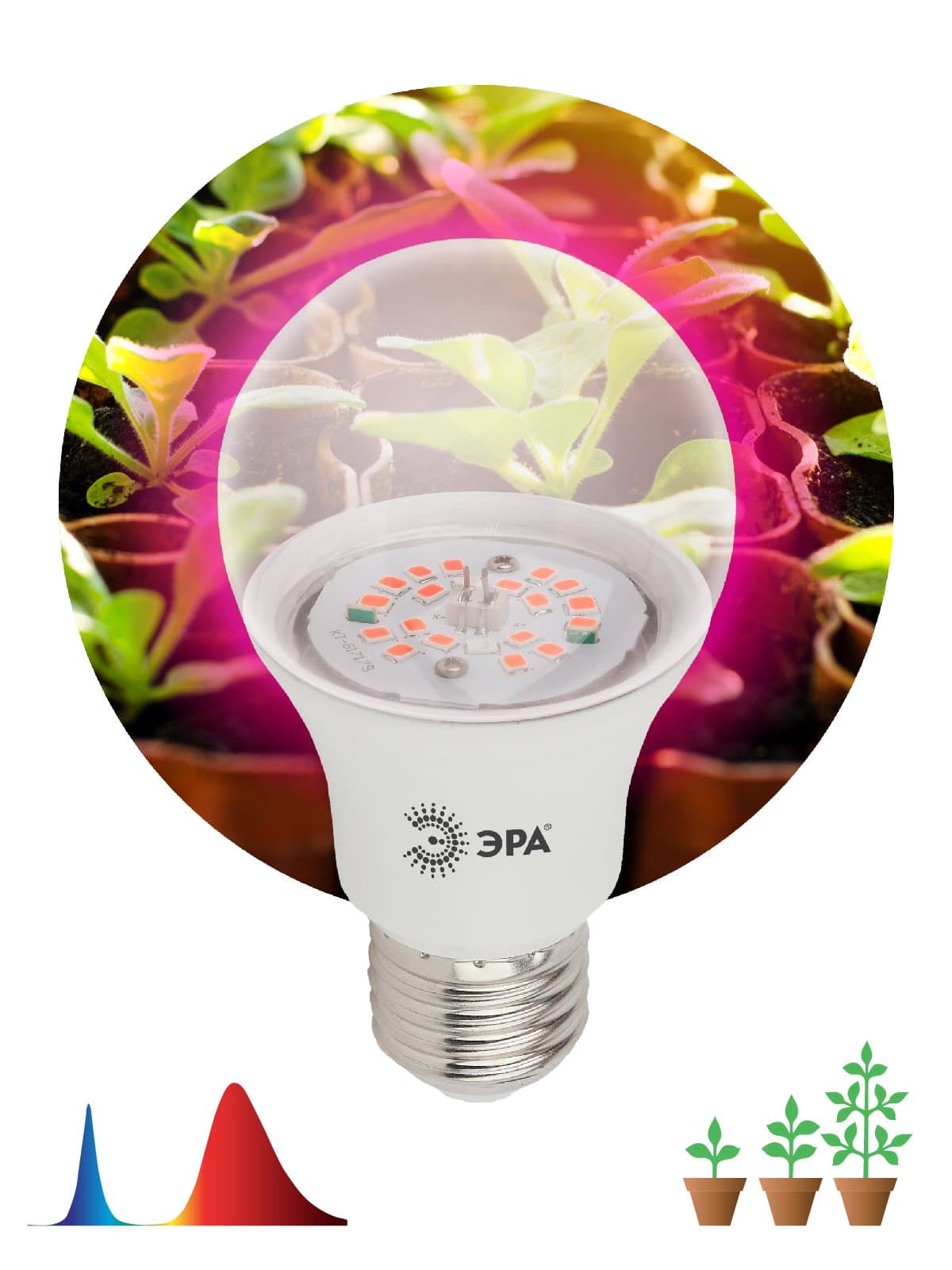 ЭРА FITO-12W-RB-E27-K Лампа красно-синего спектра