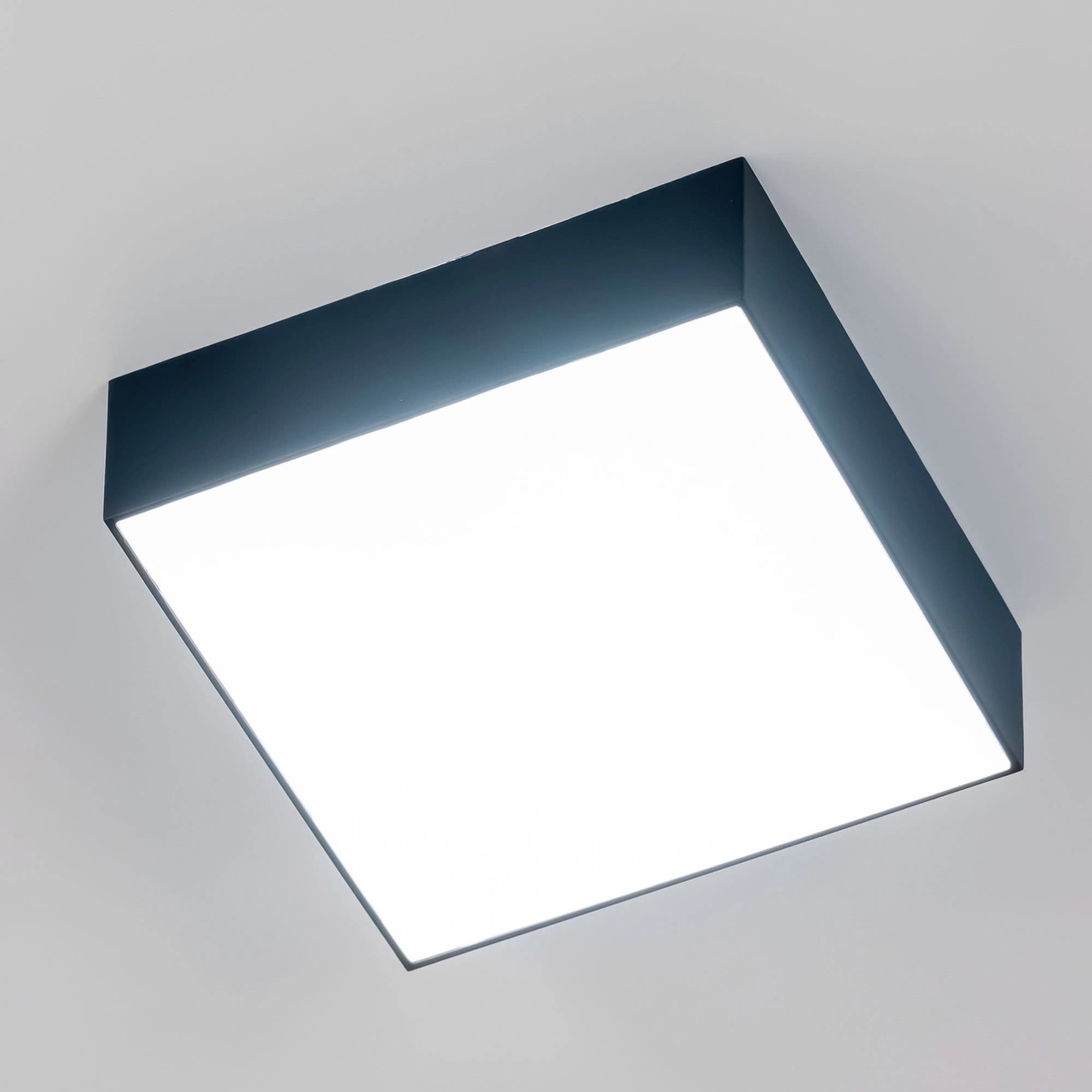 Citilux CL712X122N Тао Черный Светильник Накл. LED 12W*4000K — миниатюра 18