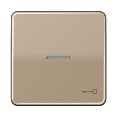 JUNG CD 500/CD plus Бронза Клавиша 1-ая с/п с символом КЛЮЧ CD590KO5TGB