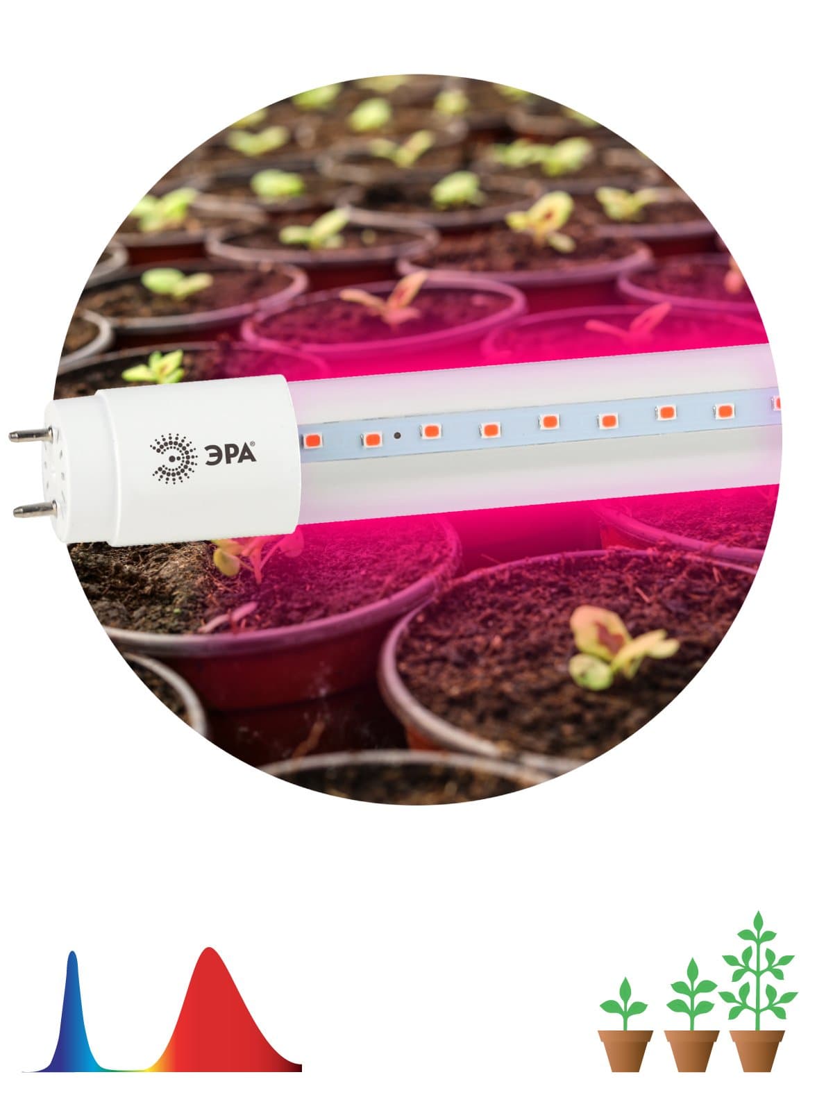 ЭРА XGYT8B102-E9 F Лампа красно-синего спектра FITO-9W-RB-Т8-G13-NL