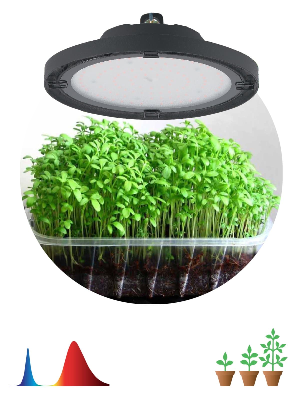 ЭРА Фитопрожектор для растений светодиодный FITO-50W-RB-LED-UFO красно-синего спектра 50 Вт IP65