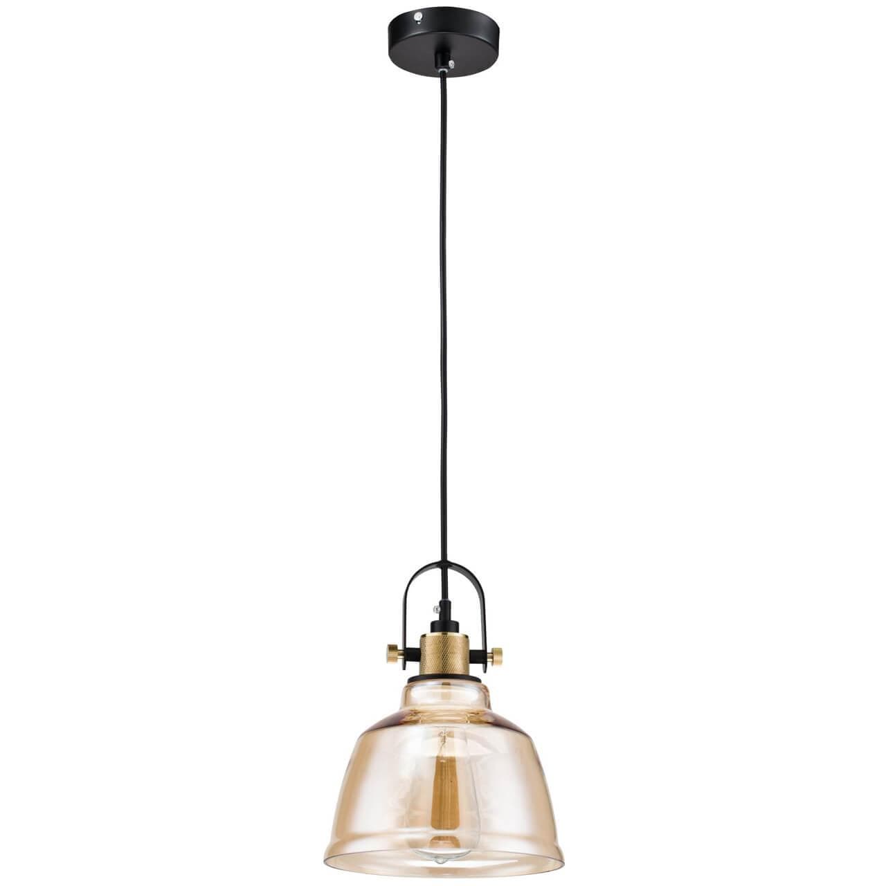 Maytoni Loft Irving Черный Подвес 1xE27 40W T163-11-R