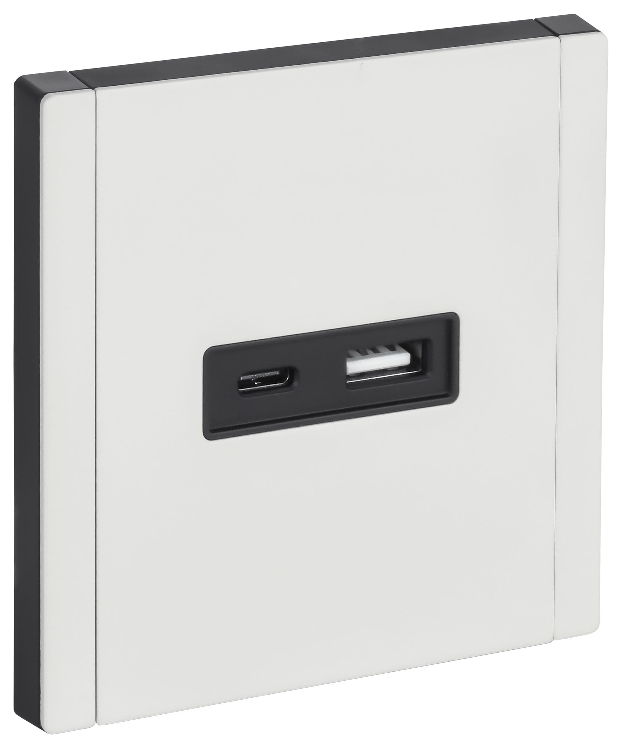 IEK FORTE&PIANO Металл Белый Розетка USB A+C 3,1А FP250M — миниатюра 1