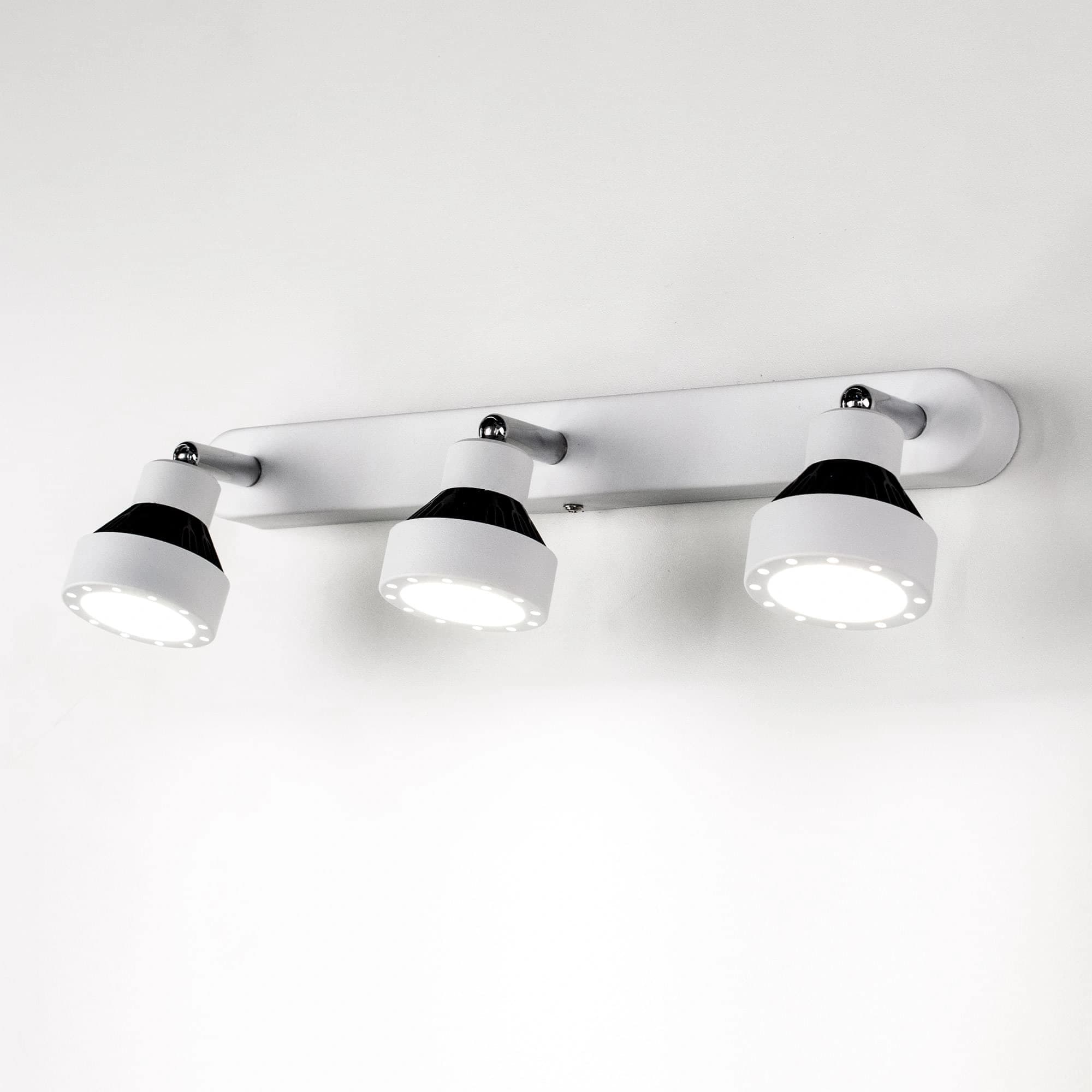 Citilux CL557531 Данди Светильник Наст.-Потол. — миниатюра 3