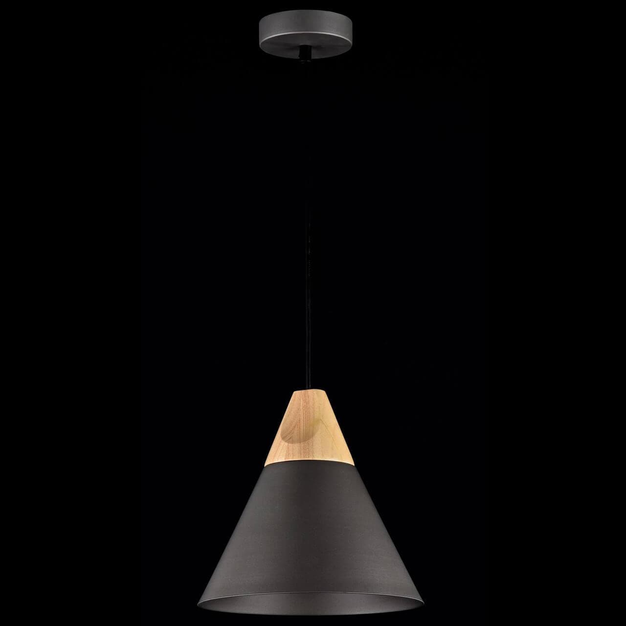 Maytoni Pendant Bicones Черный Подвес 1xE27 60W P359-PL-220-C — миниатюра 9