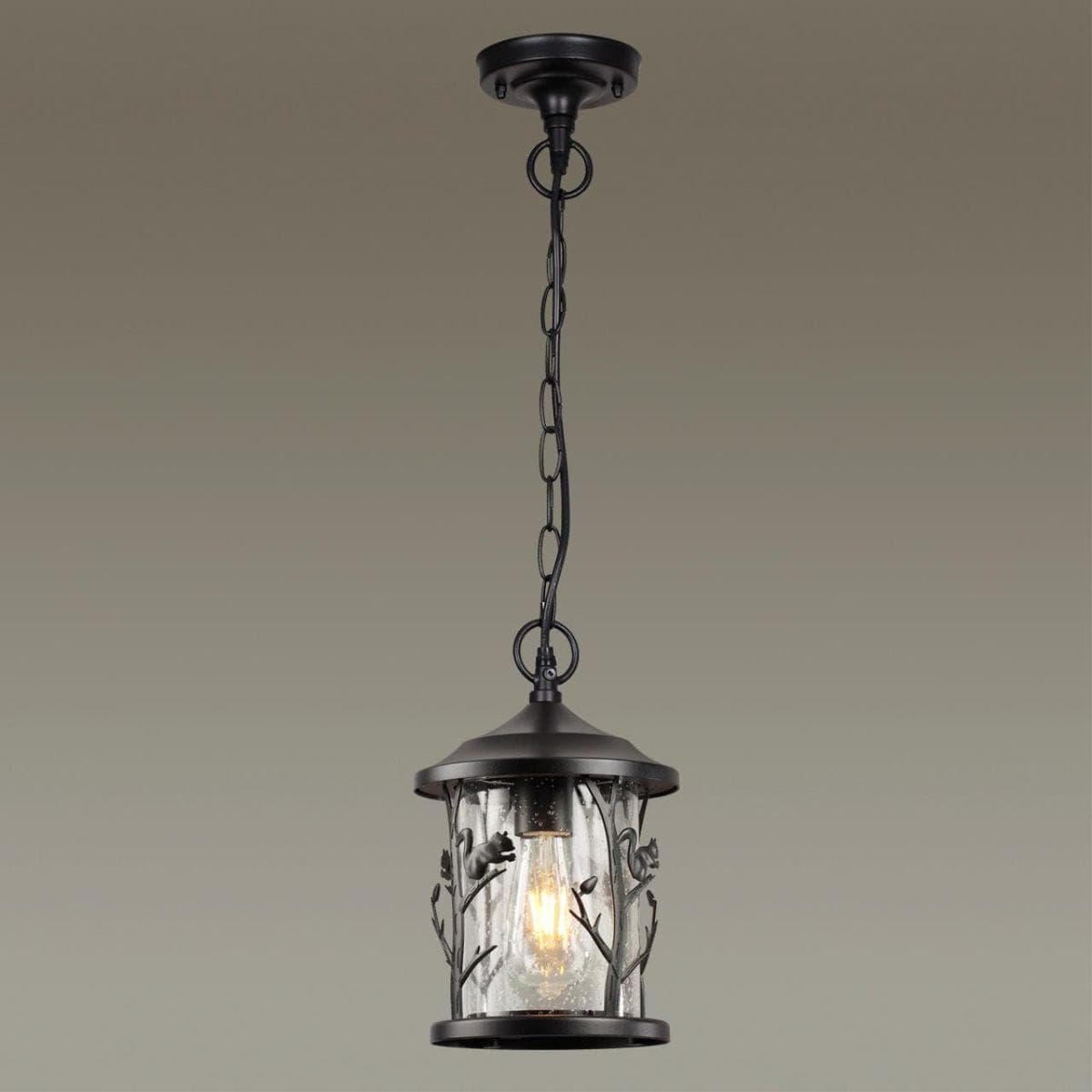 Odeon Light 4963/1 NATURE ODL22 579 черный/стекло Ландшафтный подвес E27 1*60W IP44 CUITA — миниатюра 4
