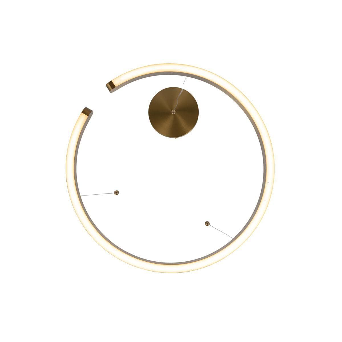 LOFT IT 10013M Светильник подвесной Ring, шт — миниатюра 3