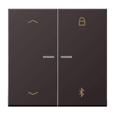 JUNG Таймер универсальный Bluetooth «стрелки», Dark AL1751PBTD