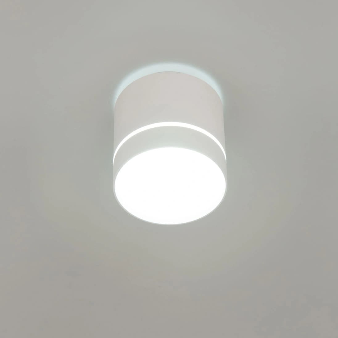 Citilux CL745020N Борн Белый Светильник потолочный 12W*4000K — миниатюра 2