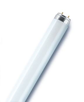 Osram L 15W/765 25X1 LF 4008321959638 — миниатюра 1
