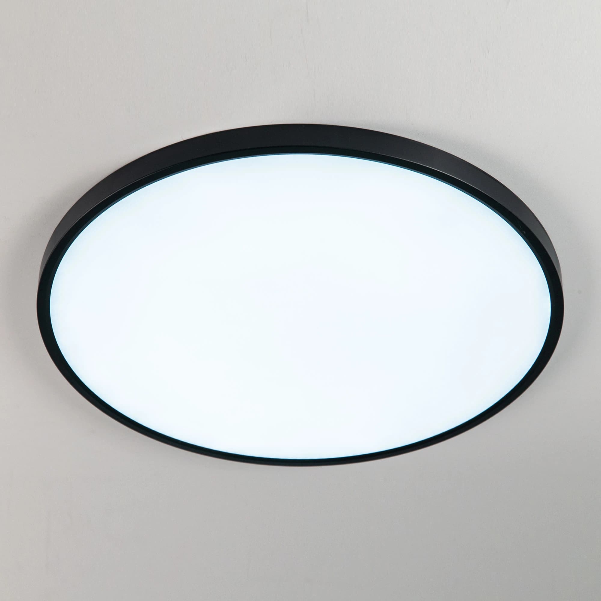 Citilux CL738501V Светильник Бейсик, черный наклодной LED 50W*Мульти — миниатюра 4