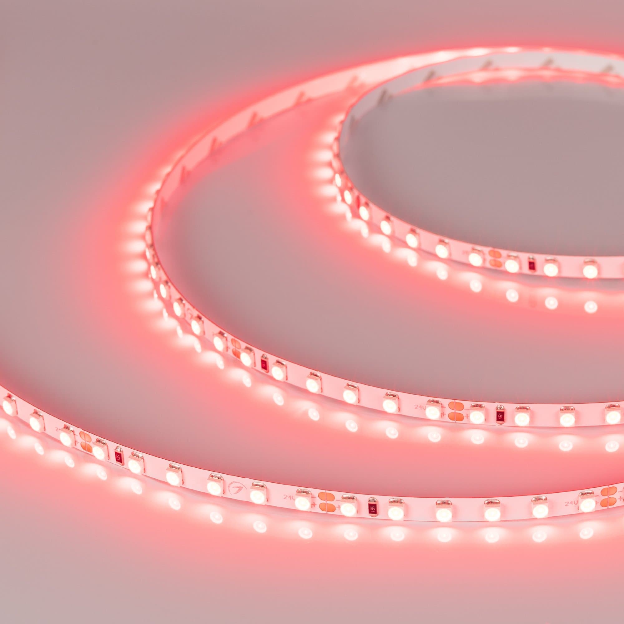 Arlight Светодиодная лента RT 2-5000 24V Red 5mm 2x (3528, 600 LED, LUX) (9.6 Вт/м, IP20) 015657(B) — миниатюра 3