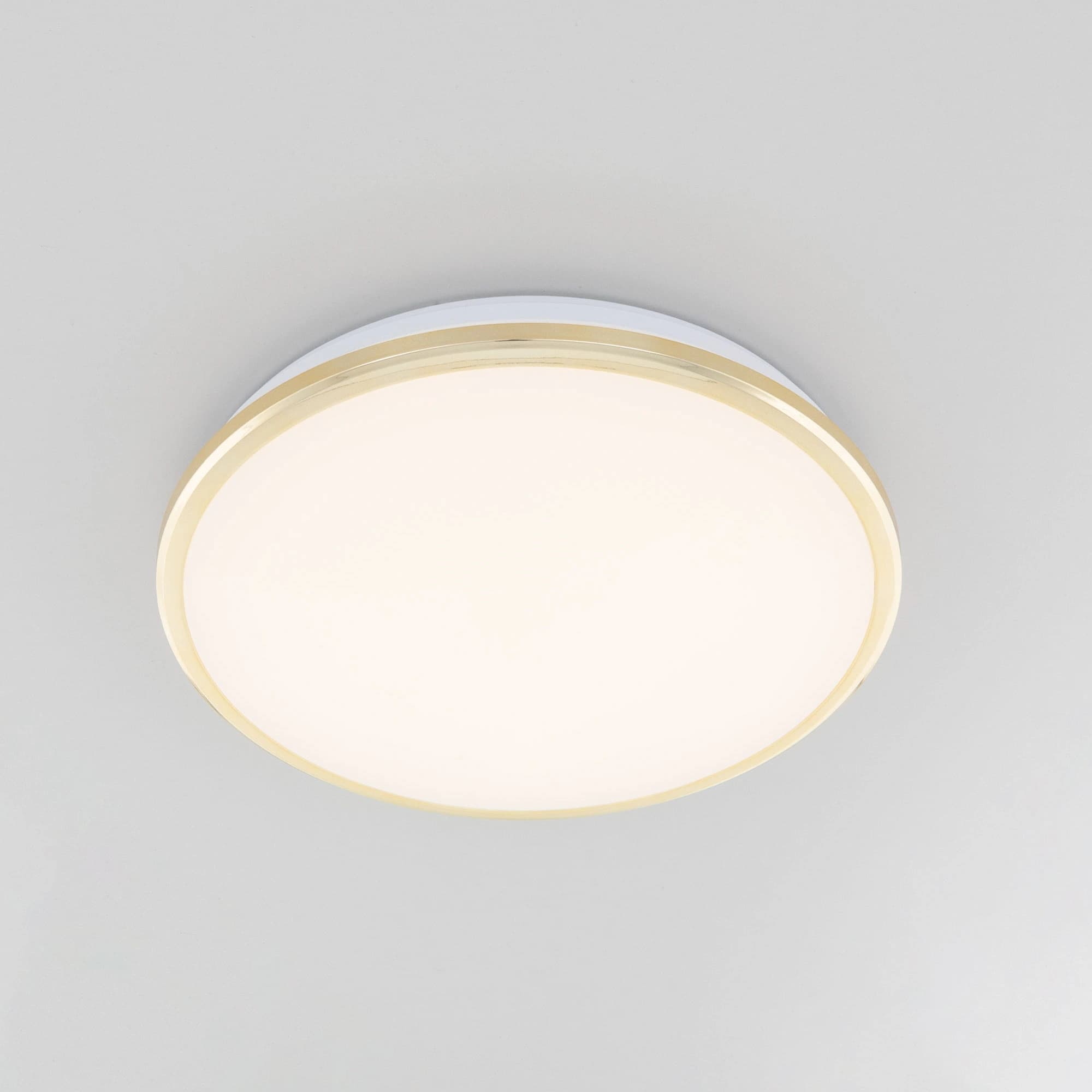 Citilux Потолочный светодиодный светильник Луна CL702222W — миниатюра 3