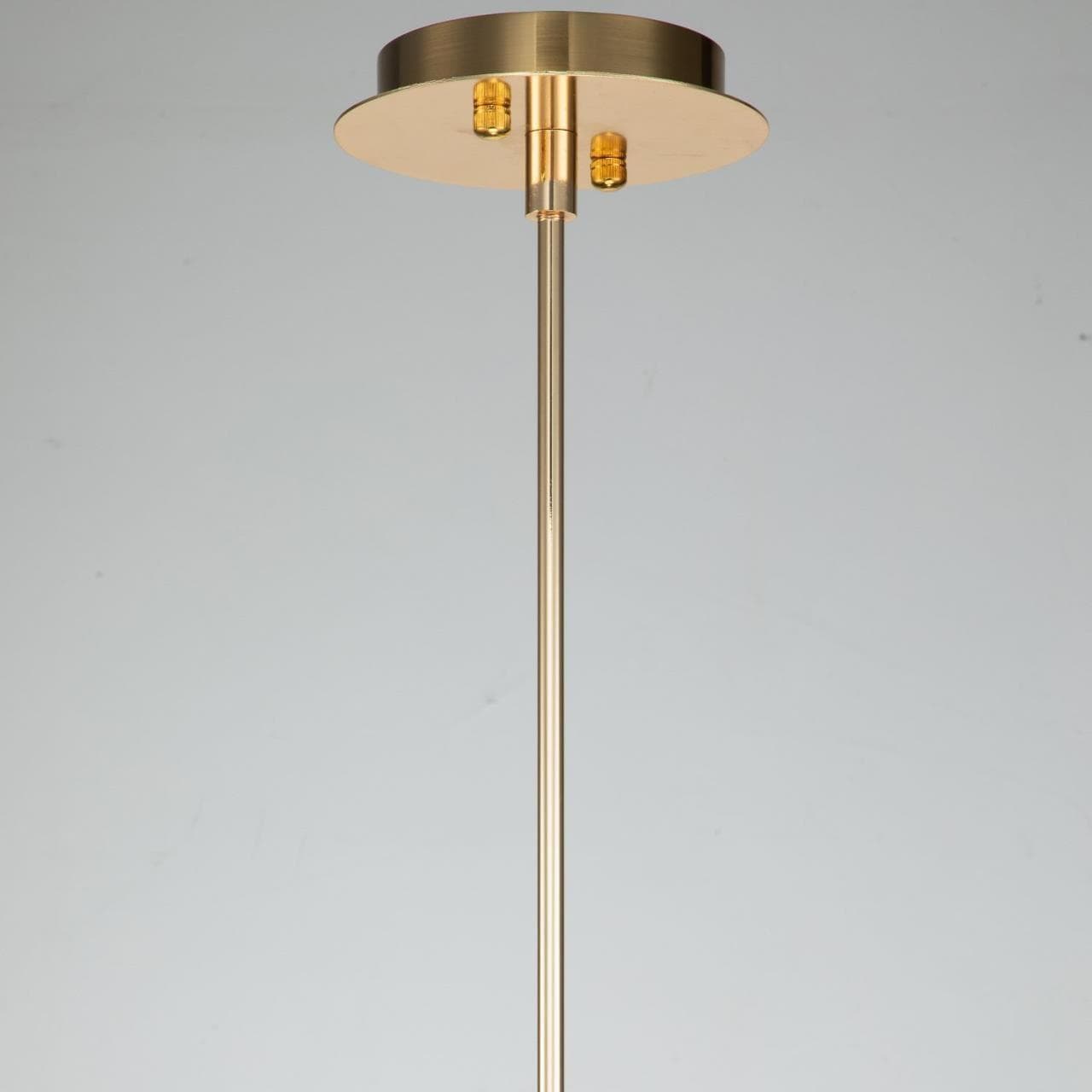 Favourite Светильник подвесной D200*H340/840/ 1*E14*40W, excluded 2975-1P — миниатюра 2