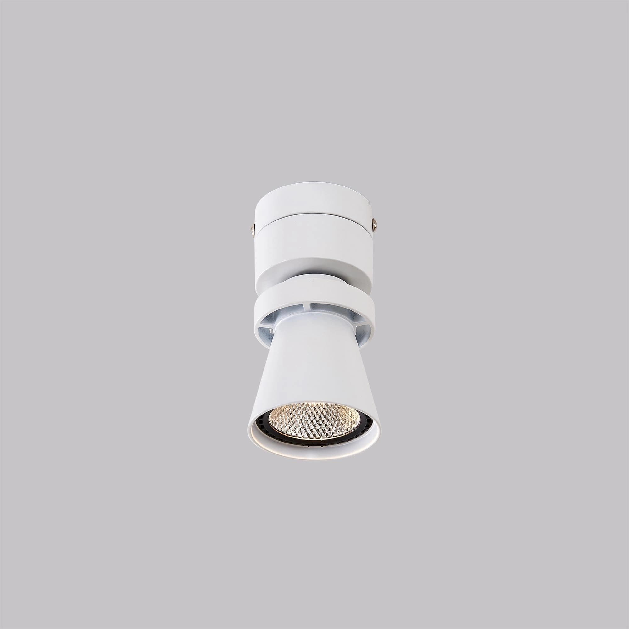 Citilux CL556510 Дубль-1 Белый Светильник Наст.-Потол. — миниатюра 2