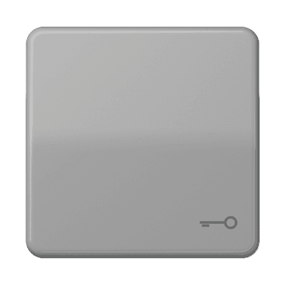 JUNG CD 500/CD plus Серая Клавиша 1-ая с символом КЛЮЧ CD590TGR