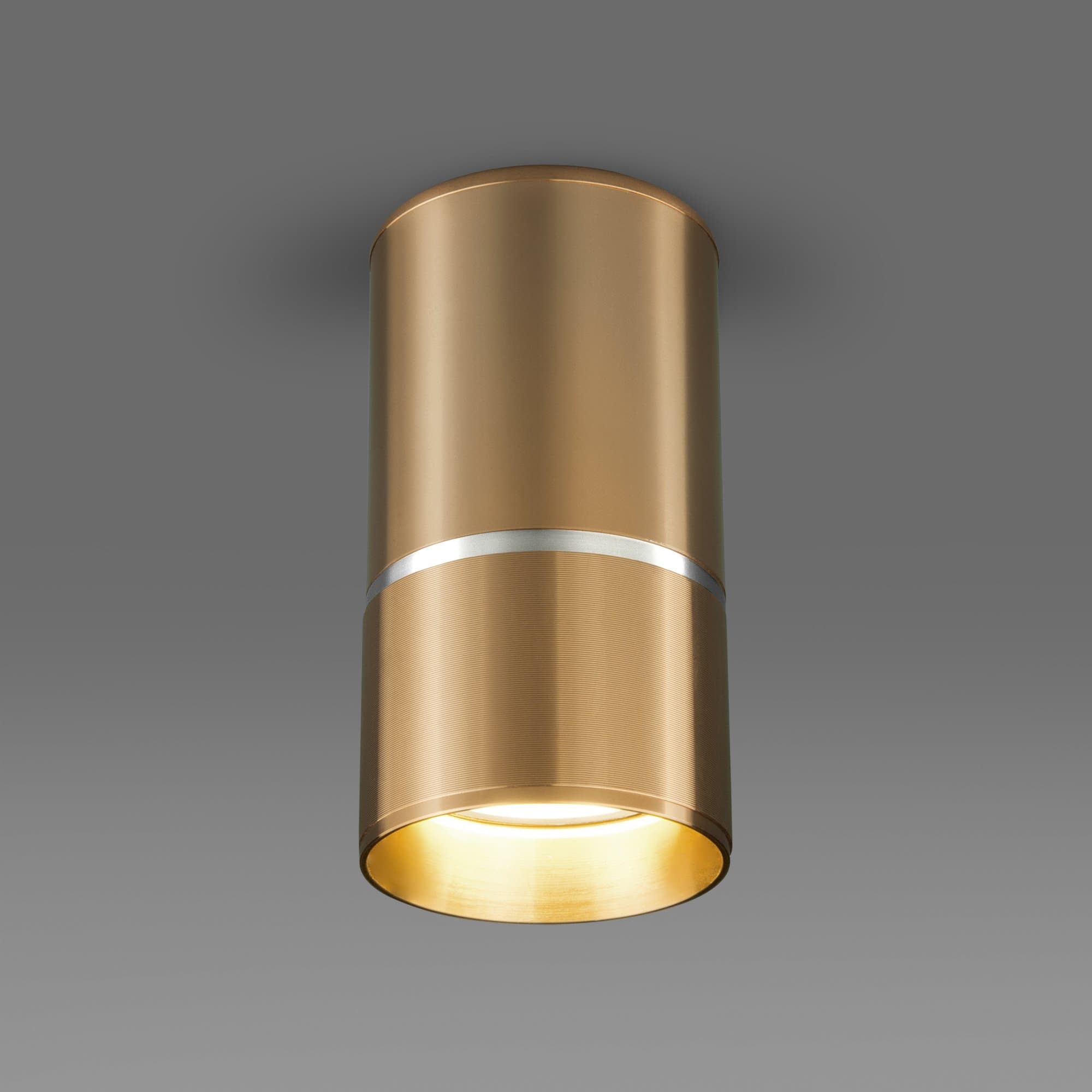 Elektrostandard DLN106 GU10 / Светильник накладной золото a047732