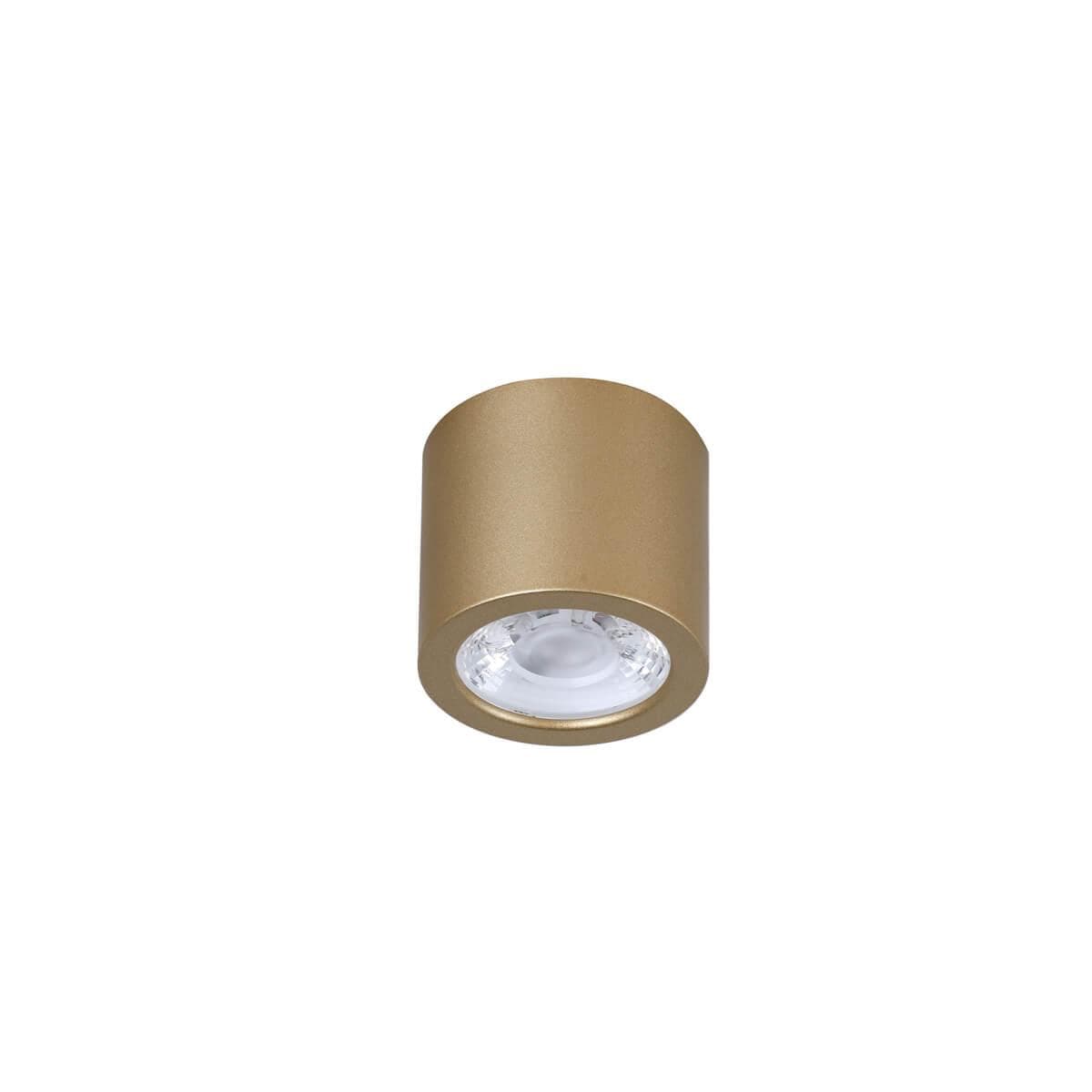 Favourite 2807-1C Deorsum Потолочный светильник D65*H60, 1*LED*7W, 560LM, 4000K, included — миниатюра 4