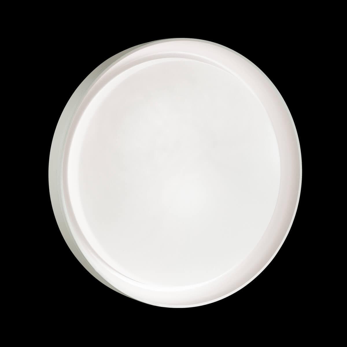 Sonex 3030/DL SN 017 св-к BIONIC пластик LED 48Вт 3000-6000K D410 IP43 пульт ДУ — миниатюра 4