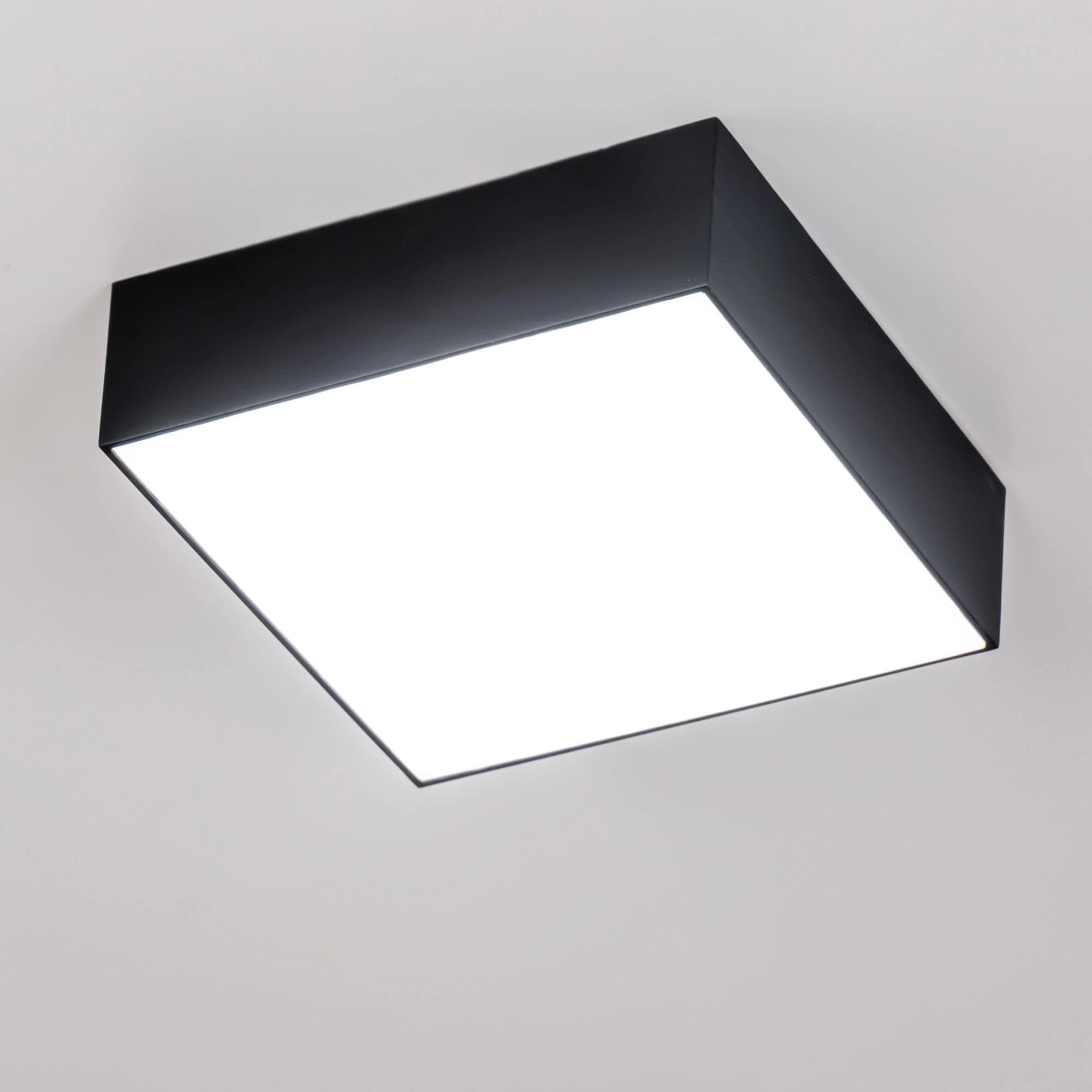 Citilux CL712X122N Тао Черный Светильник Накл. LED 12W*4000K — миниатюра 2