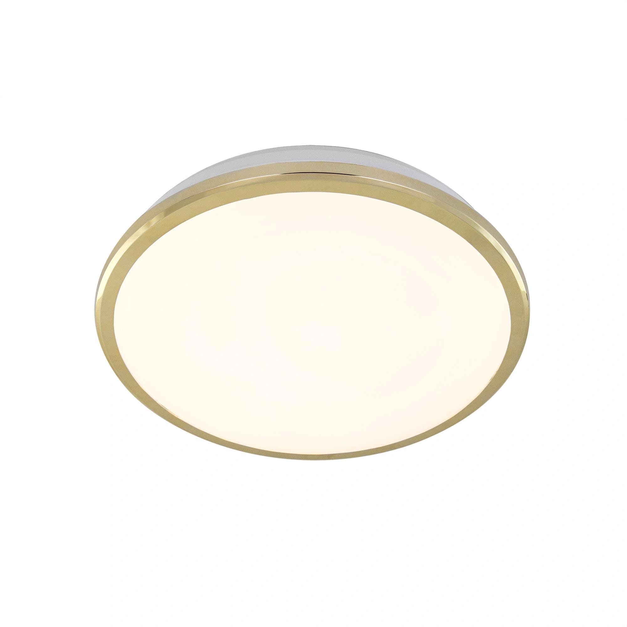 Citilux Светильник потолочный светодиодный Луна CL702162W — миниатюра 1